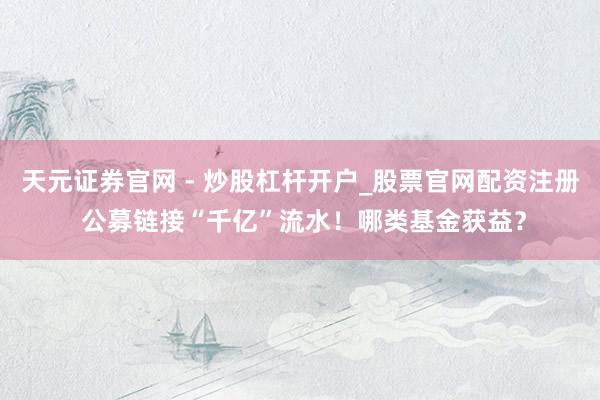 天元证券官网 - 炒股杠杆开户_股票官网配资注册 公募链接“千亿”流水！哪类基金获益？