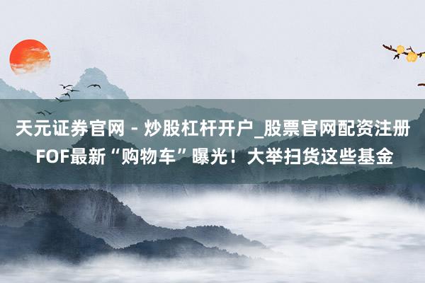 天元证券官网 - 炒股杠杆开户_股票官网配资注册 FOF最新“购物车”曝光！大举扫货这些基金